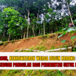 Doc. Lokasi titik longsoran talud, tepat di atas rumah Mbah Ngadikan. (Dusun Karag, Desa Nglegi, Kec. Patuk, Kab. Gunungkidul, Daerah Iatimewa Jogjakarta - , 23 Desember 2024).