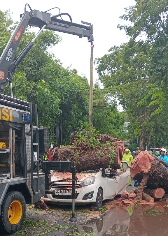 Doc. Sebuah alat berat milik petugas berusaha mengangkat batang pohon besar yang menimpa mobil berwarna putih dengan nomor polisi DK 1478 FBJ. Mobil mengalami kerusakan parah akibat tertimpa pohon yang tumbang akibat angin kencang. (Bali, 22/3/2025 – Foto Dokumentasi: Umbu Arfin).