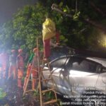 Doc. Petugas PPSU Kelurahan Pondok Pinang bersama anggota Sat Lantas Jakarta Selatan tengah mengevakuasi pohon tumbang yang menimpa sebuah mobil dan menutup sebagian badan jalan di Jalan Kartika Utama, Pondok Pinang, Jakarta Selatan, pada Selasa malam, 17 Juni 2025. Evakuasi dilakukan di tengah kondisi hujan guna mengamankan lokasi dan memperlancar arus lalu lintas. (Sumber foto Dokumentasi: PPSU Kelurahan Pondok Pinang).