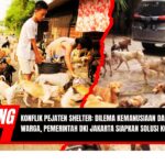 Doc. Suasana di Pejaten Shelter, Pasar Minggu, Jakarta Selatan, yang memperlihatkan aktivitas harian para relawan memberi makan ratusan anjing yang ditampung. Gambar ini mencerminkan kondisi kepadatan hewan di shelter serta tantangan operasional yang dihadapi pengelola. Dalam konflik yang sedang berlangsung, keberadaan hewan-hewan ini menjadi pusat perhatian dalam polemik antara upaya perlindungan hewan dan tuntutan kenyamanan warga sekitar. (Foto: NR - kawanjarinews.com).