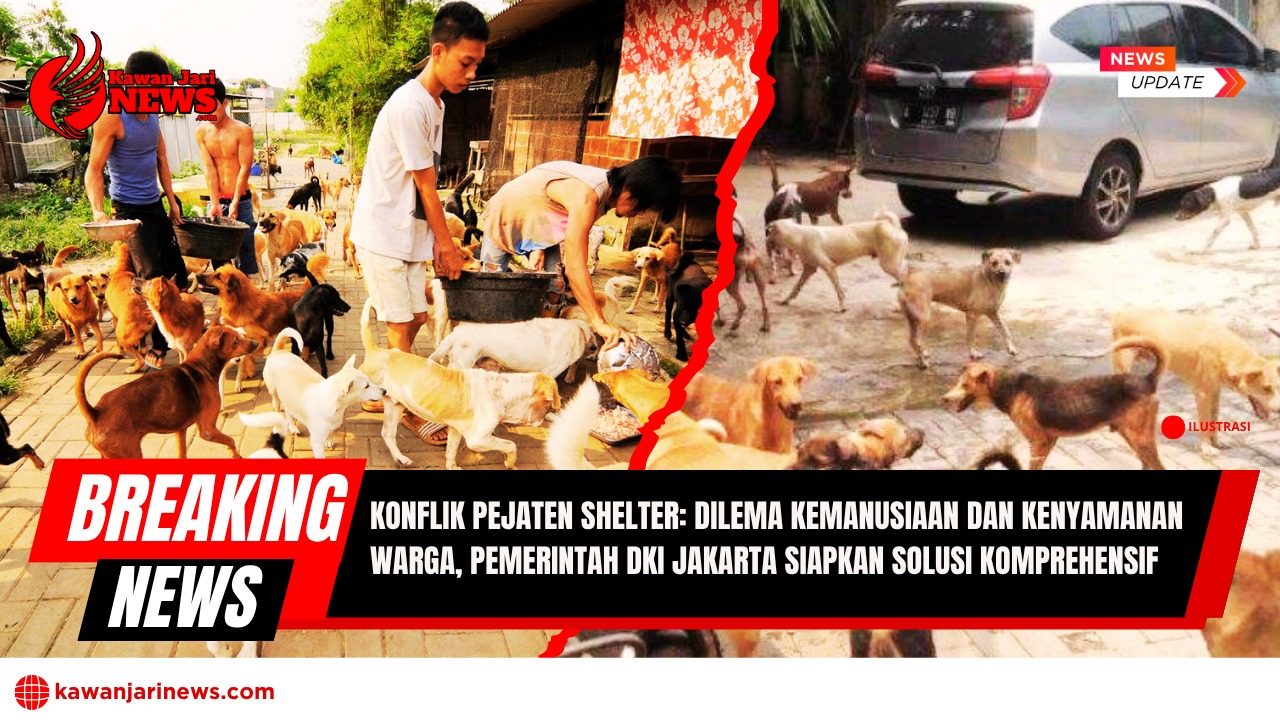 Doc. Suasana di Pejaten Shelter, Pasar Minggu, Jakarta Selatan, yang memperlihatkan aktivitas harian para relawan memberi makan ratusan anjing yang ditampung. Gambar ini mencerminkan kondisi kepadatan hewan di shelter serta tantangan operasional yang dihadapi pengelola. Dalam konflik yang sedang berlangsung, keberadaan hewan-hewan ini menjadi pusat perhatian dalam polemik antara upaya perlindungan hewan dan tuntutan kenyamanan warga sekitar. (Foto: NR - kawanjarinews.com).