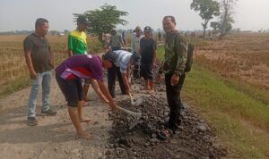 Doc. Sejumlah tokoh masyarakat, perangkat desa, dan pemuda turut serta dalam kegiatan gotong royong perbaikan jalan di tengah areal persawahan. Perbaikan jalan dilakukan manual dengan alat seadanya, mencerminkan semangat kebersamaan di tengah keterbatasan. (Foto: Soleh Hadi Mustofa).