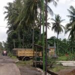 Doc. Aktivitas kendaraan truk pengangkut material terlihat melintas di kawasan desa, dengan latar pepohonan kelapa dan area perkebunan yang berada di sekitar lokasi. (Foto: Ari Bagus. P).