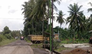 Doc. Aktivitas kendaraan truk pengangkut material terlihat melintas di kawasan desa, dengan latar pepohonan kelapa dan area perkebunan yang berada di sekitar lokasi. (Foto: Ari Bagus. P).