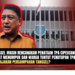 Doc. Sekretaris Dinas Lingkungan Hidup (DLH) Kota Tangerang Selatan, Hadi Widodo, dengan latar belakang Gedung Balai Kota Tangerang Selatan. Foto ilustrasi: NR).