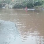 Doc. Kondisi Sungai Damar Payung di Desa Kotayasa, Kecamatan Sumbang, Kabupaten Banyumas, tampak keruh dan mengalami pendangkalan akibat material lumpur pascabanjir bandang yang diduga berasal dari kawasan Gunung Slamet, Jumat (25/1/2026). (Foto: Imam).