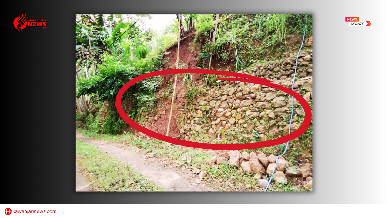 Doc. Kondisi “Beteng” (Talud Batu Swadaya Warga) Gambar pada tanda lingkaran merah memperlihatkan susunan batu yang dipasang secara manual oleh warga sebagai upaya penguatan lereng, yang dalam istilah lokal disebut “masang beteng”. Struktur tersebut berupa talud batu lepas tanpa konstruksi beton bertulang dan tanpa sistem pengikat semen yang dirancang secara teknis. Dari tampilan visual terlihat batu disusun bertumpuk mengikuti kemiringan lereng, namun tidak dilengkapi pondasi struktural maupun sistem drainase untuk mengurangi tekanan air hujan. Kondisi ini sebagaimana dijelaskan narasumber menunjukkan bahwa upaya tersebut merupakan bentuk tanggung jawab dan partisipasi warga, tetapi memiliki keterbatasan daya tahan sehingga belum mampu memberikan perlindungan permanen terhadap risiko longsor. (Sumber Foto: Adinda Riski Wulandari).