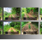 Doc. Kompilasi dokumentasi 8 titik jalan lingkungan di Desa Nglegi, Kecamatan Patuk, Kabupaten Gunungkidul, yang menjadi akses utama siswa menuju SD Negeri Nglegi 2. Foto menampilkan RUMAJA longsor, rabat beton pecah, penurunan badan jalan, dan permukaan licin, serta memperlihatkan kondisi jalan yang berisiko bagi siswa dan warga. Dokumentasi diambil pada Desember 2025. (Foto: Arsip Redaksi).