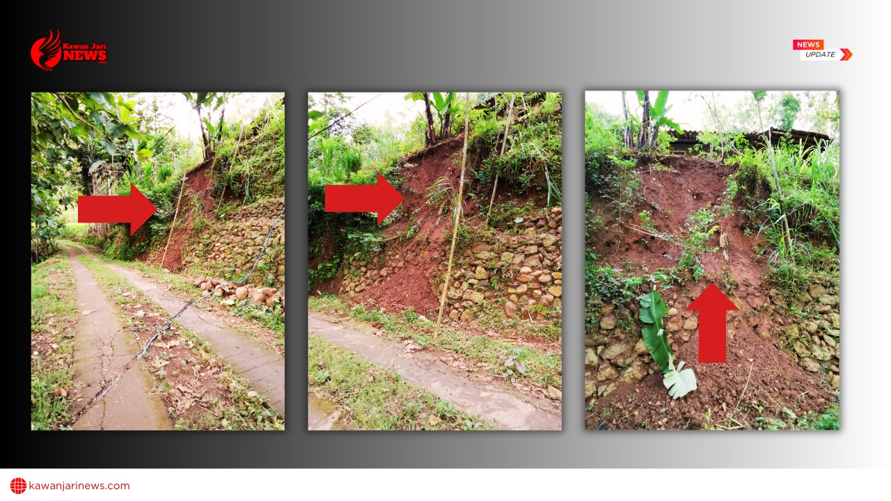 Doc. Kompilasi foto memperlihatkan beberapa sudut pandang titik longsor pada lereng sisi badan jalan di Dusun Karang, Kalurahan Nglegi, Kapanewon Patuk, Kabupaten Gunungkidul. Terlihat tebing tanah mengalami pengikisan dan penurunan material, dengan kemiringan lereng yang cukup curam serta sebagian tanah telah terlepas mengikuti kontur lereng. Pada bagian atas lereng tampak area permukiman warga, sedangkan bagian bawah berbatasan langsung dengan badan jalan desa. Dokumentasi ini menunjukkan bahwa longsor tidak hanya berdampak pada struktur tanah, tetapi juga berpotensi mengganggu stabilitas jalan dan mengancam keselamatan pengguna jalan maupun rumah warga apabila terjadi longsor susulan, terutama saat curah hujan tinggi. (Sumber Foto: Adinda Riski Wulandari).