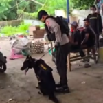 Doc. Tim kepolisian bersama unit anjing pelacak (K-9) saat melakukan penelusuran di sekitar lokasi perampokan di kawasan Jatibening, Pondok Gede, Kota Bekasi, guna mengidentifikasi jejak dan kemungkinan jalur pelarian pelaku. (NR).