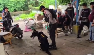 Doc. Tim kepolisian bersama unit anjing pelacak (K-9) saat melakukan penelusuran di sekitar lokasi perampokan di kawasan Jatibening, Pondok Gede, Kota Bekasi, guna mengidentifikasi jejak dan kemungkinan jalur pelarian pelaku. (NR).