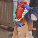 Doc. Petugas kepolisian memasukkan barang bukti berupa sarung tangan ke dalam kantong khusus barang bukti saat proses olah TKP lanjutan kasus kematian seorang pria yang ditemukan di dalam freezer kios ayam geprek di kawasan Perumahan Mega Regency, Desa Sukaragam, Kecamatan Serang Baru, Kabupaten Bekasi, sebelum dibawa untuk pemeriksaan lebih lanjut. (NR).