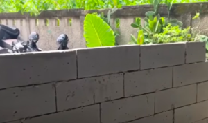 Doc. Tembok bata yang dipasang menutup akses utama rumah warga di kawasan Jurang Mangu Barat, Pondok Aren, Tangerang Selatan, terlihat menghalangi keluar-masuk kendaraan, Selasa (14/4/2026).