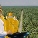 Doc. Ilustrasi: Menteri Pertanian Andi Amran Sulaiman dengan latar kebun kelapa sawit dan produk minyak goreng, menggambarkan sorotan terhadap kondisi harga minyak goreng di tengah melimpahnya produksi sawit nasional.