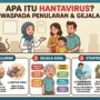 Dco. Ilustrasi edukatif ini merangkum poin-poin penting mengenai Hantavirus yang perlu diwaspadai masyarakat. Gambar ini menjelaskan tiga aspek utama: (1) Cara Penularan, melalui inhalasi partikel kotoran tikus, kontak langsung, atau gigitan; (2) Gejala Awal, seperti demam tinggi, nyeri otot, dan sakit kepala hebat; serta (3) Strategi Pencegahan, yang meliputi menjaga kebersihan lingkungan dengan desinfektan, mengontrol populasi tikus di rumah, dan segera memeriksakan diri ke dokter jika mengalami gejala setelah terpapar lingkungan yang berisiko.