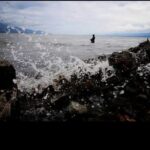 Doc. Kondisi gelombang laut di kawasan pesisir selatan Kabupaten Malang terlihat cukup tinggi saat peringatan dini cuaca dikeluarkan BMKG, Selasa (19/5/2026). Nelayan dan wisatawan diimbau meningkatkan kewaspadaan terhadap potensi ombak besar dan arus laut.