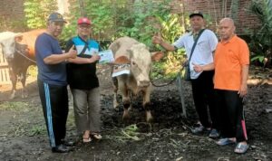 PC LDII Kecamatan Mijen Laksanakan Penyembelihan dan Distribusi Hewan Kurban Idul Adha 1447 H Doc. Penyerahan salah satu hewan kurban oleh panitia PC LDII Kecamatan Mijen kepada Takmir Masjid Al Mukaromah RW 1 Kelurahan Jatisari, Kecamatan Mijen, Kota Semarang, Rabu (27/5/2026). Hewan kurban tersebut selanjutnya didistribusikan kepada masyarakat di lingkungan sekitar pada momentum Hari Raya Idul Adha 1447 Hijriah.