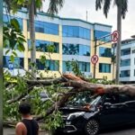 Doc. Sebuah pohon pelindung jalan tumbang menimpa satu unit taksi Honda Mobilio dan satu unit Mercedes-Benz di Jalan Raya Gading Batavia, Kelurahan Kelapa Gading Barat, Jakarta Utara, Jumat (26/6/2026). Insiden tersebut mengakibatkan dua orang mengalami luka-luka, sementara kedua kendaraan mengalami kerusakan akibat tertimpa batang pohon. Penyebab pasti tumbangnya pohon masih dalam penyelidikan instansi terkait.