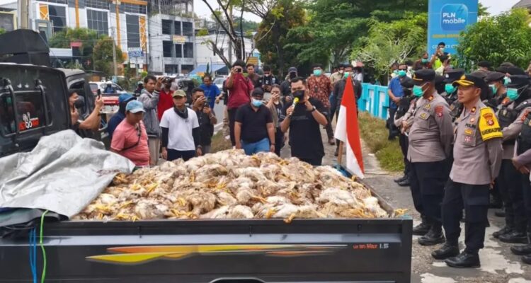 Doc. Sejumlah warga dan peternak membawa bangkai ayam menggunakan mobil bak terbuka saat menggelar aksi unjuk rasa di depan Kantor PT PLN (Persero) UP3 Palangka Raya, Rabu (29/7/2026). Aksi tersebut dilakukan sebagai bentuk protes atas dugaan kerugian yang dialami akibat pemadaman listrik yang terjadi berulang.