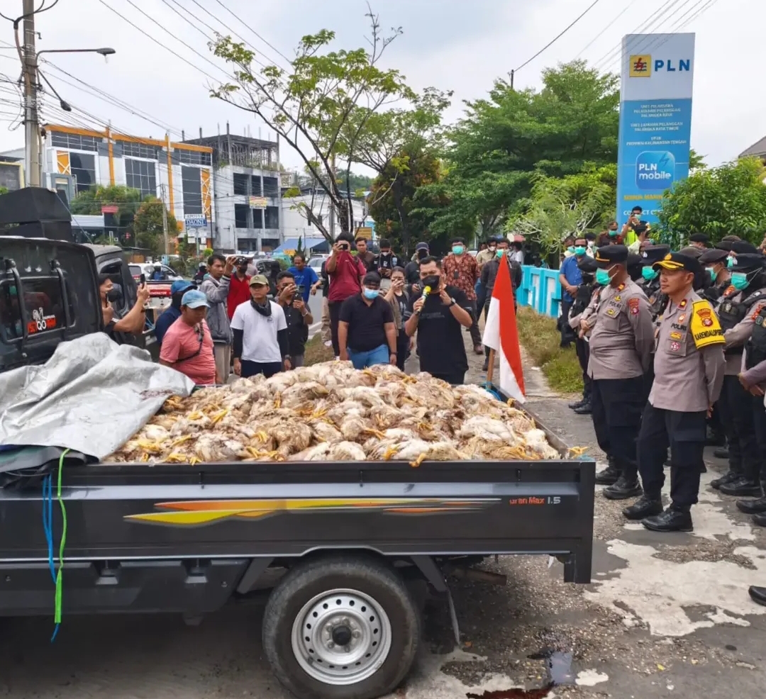 Doc. Sejumlah warga dan peternak membawa bangkai ayam menggunakan mobil bak terbuka saat menggelar aksi unjuk rasa di depan Kantor PT PLN (Persero) UP3 Palangka Raya, Rabu (29/7/2026). Aksi tersebut dilakukan sebagai bentuk protes atas dugaan kerugian yang dialami akibat pemadaman listrik yang terjadi berulang.