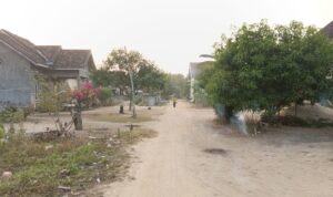 Puluhan Tahun Bertahan dengan Tiang Bambu, Warga Jaya Makmur Pertanyakan Komitmen PLN terhadap Keselamatan Pelanggan Doc. Kondisi jaringan listrik di RT 02 RW 02 Kampung Jaya Makmur, Kecamatan Banjar Baru, Kabupaten Tulang Bawang, Lampung, yang masih ditopang menggunakan tiang bambu di sekitar permukiman warga. Masyarakat mengaku kondisi tersebut telah berlangsung selama bertahun-tahun dan berharap PT PLN (Persero) segera membangun tiang listrik permanen guna meningkatkan keselamatan, keandalan jaringan, serta kualitas pelayanan listrik bagi pelanggan.