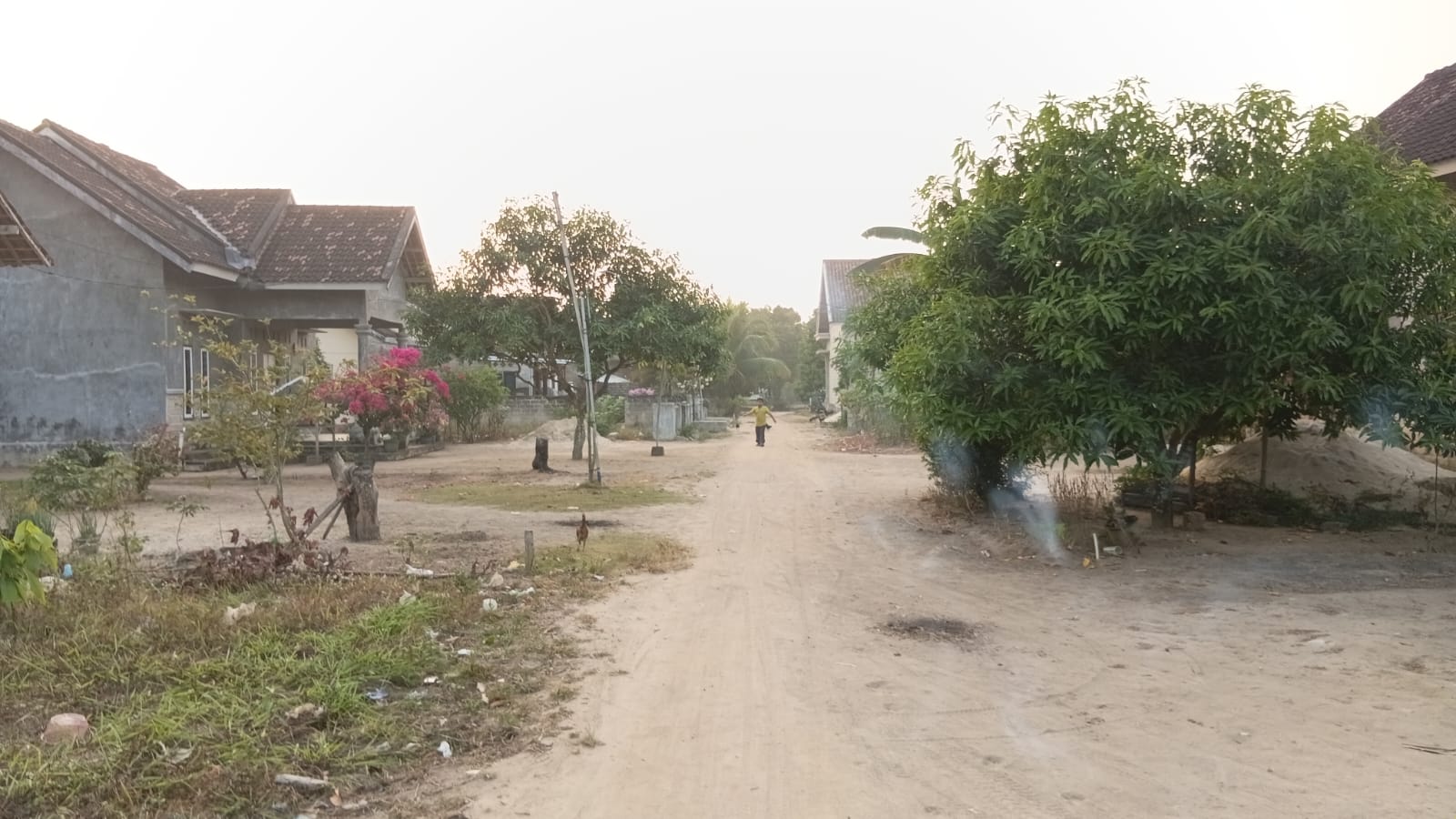 Doc. Kondisi jaringan listrik di RT 02 RW 02 Kampung Jaya Makmur, Kecamatan Banjar Baru, Kabupaten Tulang Bawang, Lampung, yang masih ditopang menggunakan tiang bambu di sekitar permukiman warga. Masyarakat mengaku kondisi tersebut telah berlangsung selama bertahun-tahun dan berharap PT PLN (Persero) segera membangun tiang listrik permanen guna meningkatkan keselamatan, keandalan jaringan, serta kualitas pelayanan listrik bagi pelanggan.
