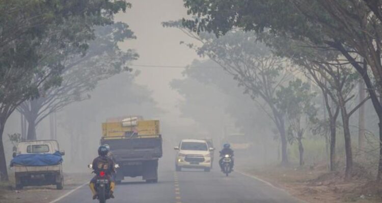 Doc. Suasana jalan di wilayah Kalimantan Selatan yang diselimuti kabut asap akibat kebakaran hutan dan lahan (karhutla), dengan jarak pandang pengguna jalan yang tampak terganggu.