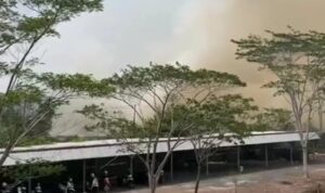 Doc. Kondisi kawasan sekitar Universitas Muhammadiyah Banjarmasin (UMBJM), Handil Bakti, Kabupaten Barito Kuala, Kalimantan Selatan, yang diselimuti asap tebal akibat kebakaran hutan dan lahan (karhutla). Kabut asap berpotensi mengganggu jarak pandang, kualitas udara, kesehatan masyarakat, serta aktivitas perkuliahan.